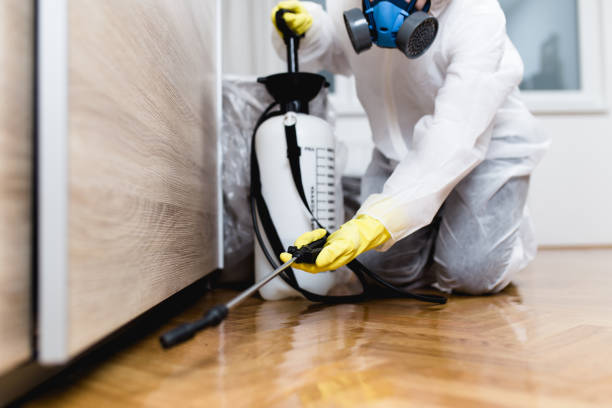 Best Commercial Pest Control Services  in Sebastian, FL