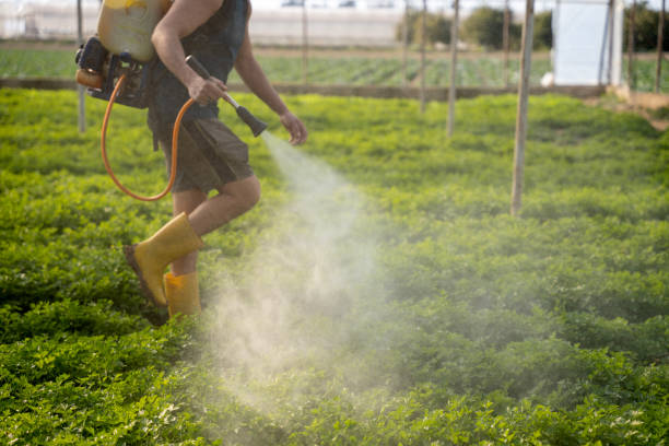 Best Emergency Pest Control  in Sebastian, FL
