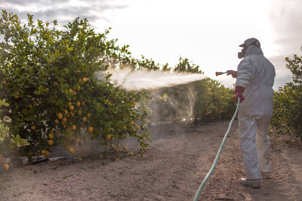  Sebastian, FL Pest Control Pros